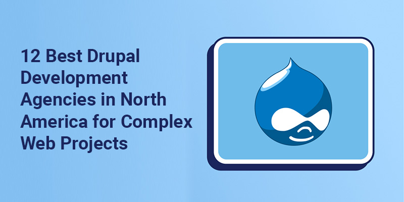 12 Best Drupal Agencies in North America 12 Best Drupal Agencies in North America