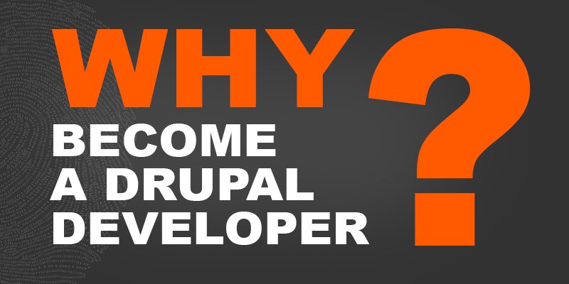 Why Become a Drupal Developer